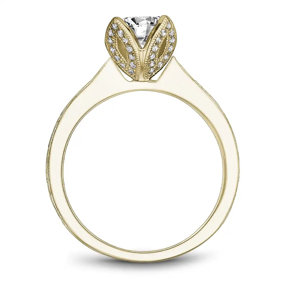 Noam Carver Semi Mount Engagement Ring