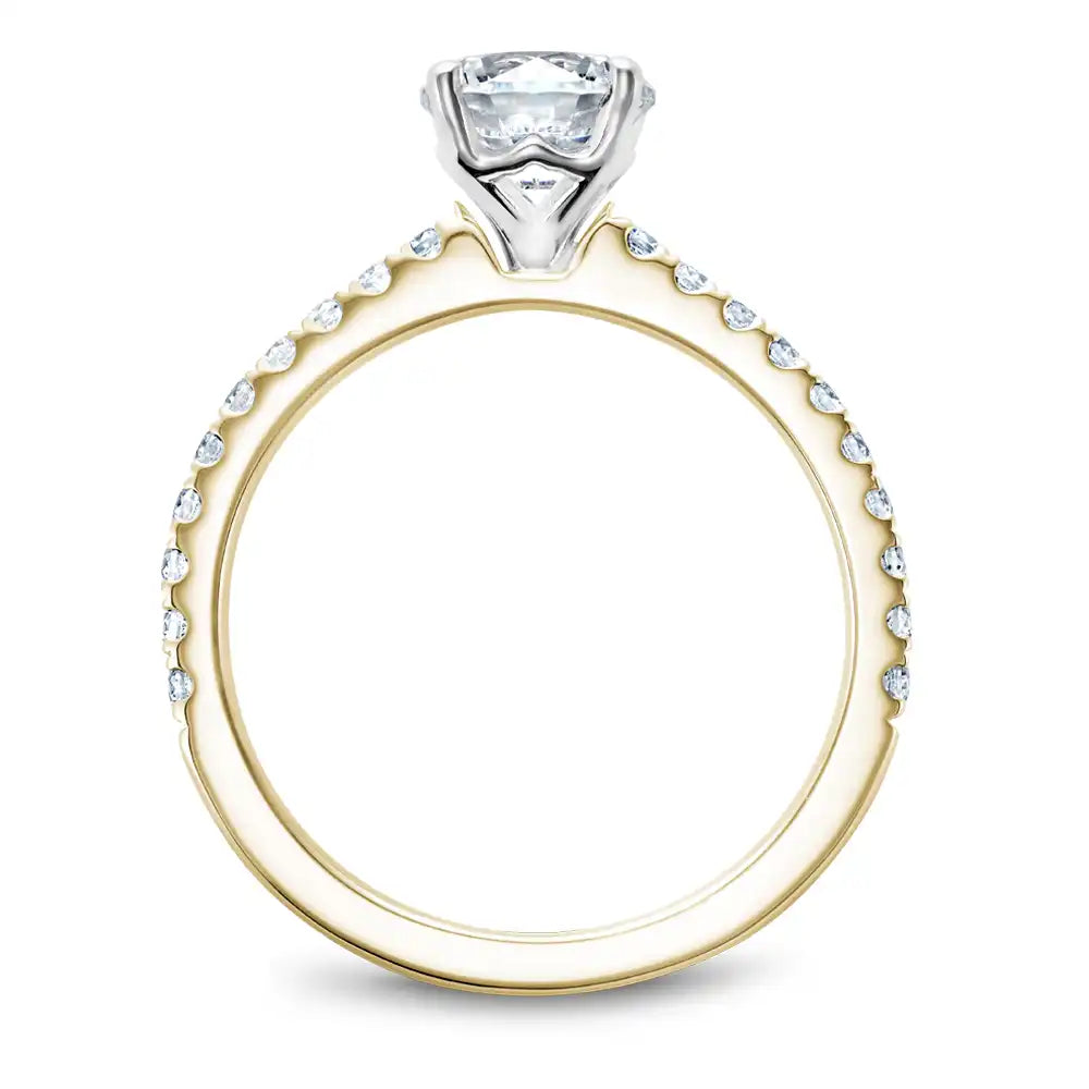 Noam Carver Semi Mount Engagement Ring