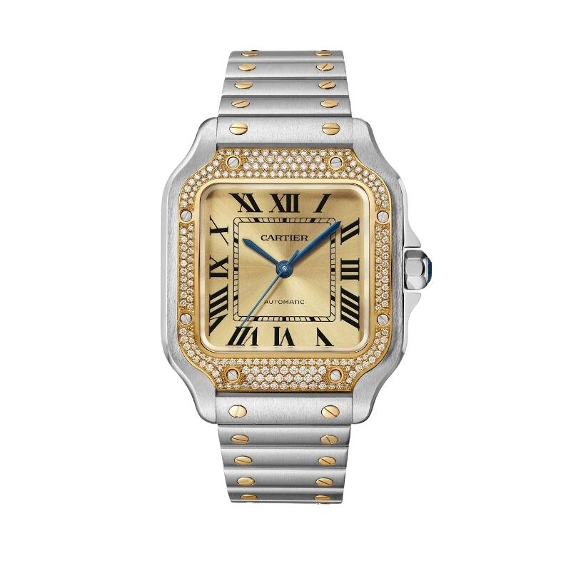 Cartier Santos De Cartier Watch W3SA0007