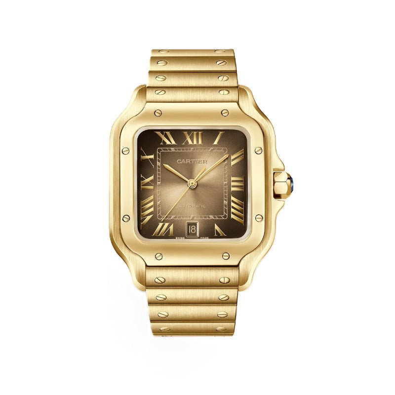 Cartier Santos de Cartier Watch WGSA0095