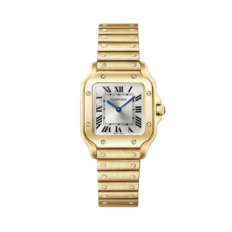 Cartier Santos de Cartier Watch WGSA0107