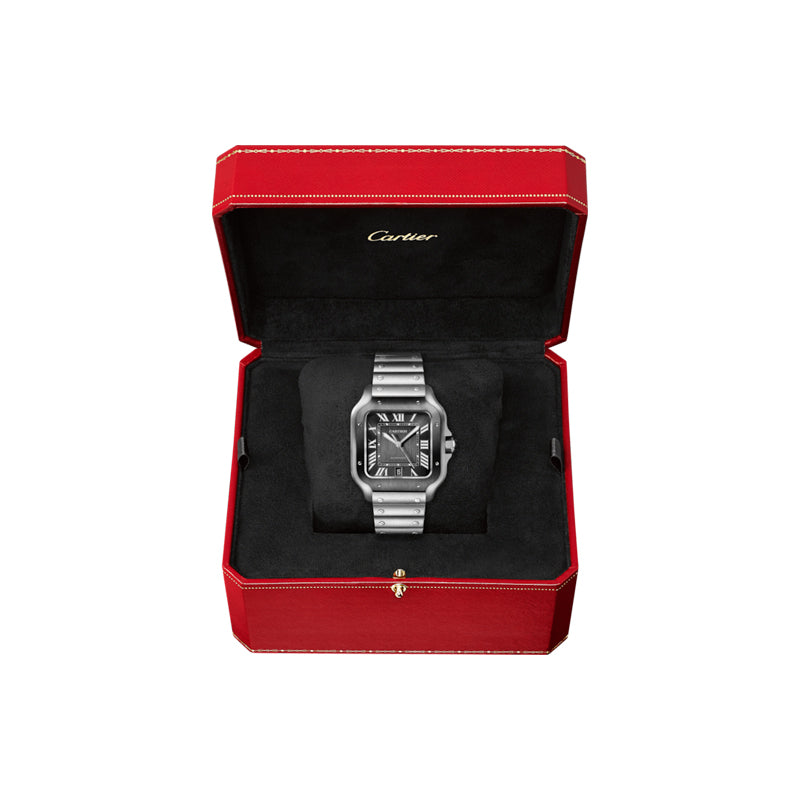 Cartier Santos de Cartier Watch WSSA0037