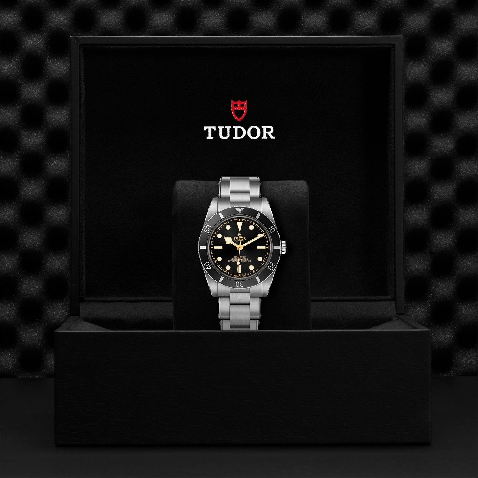 Black Bay 54 - M79000N-0001