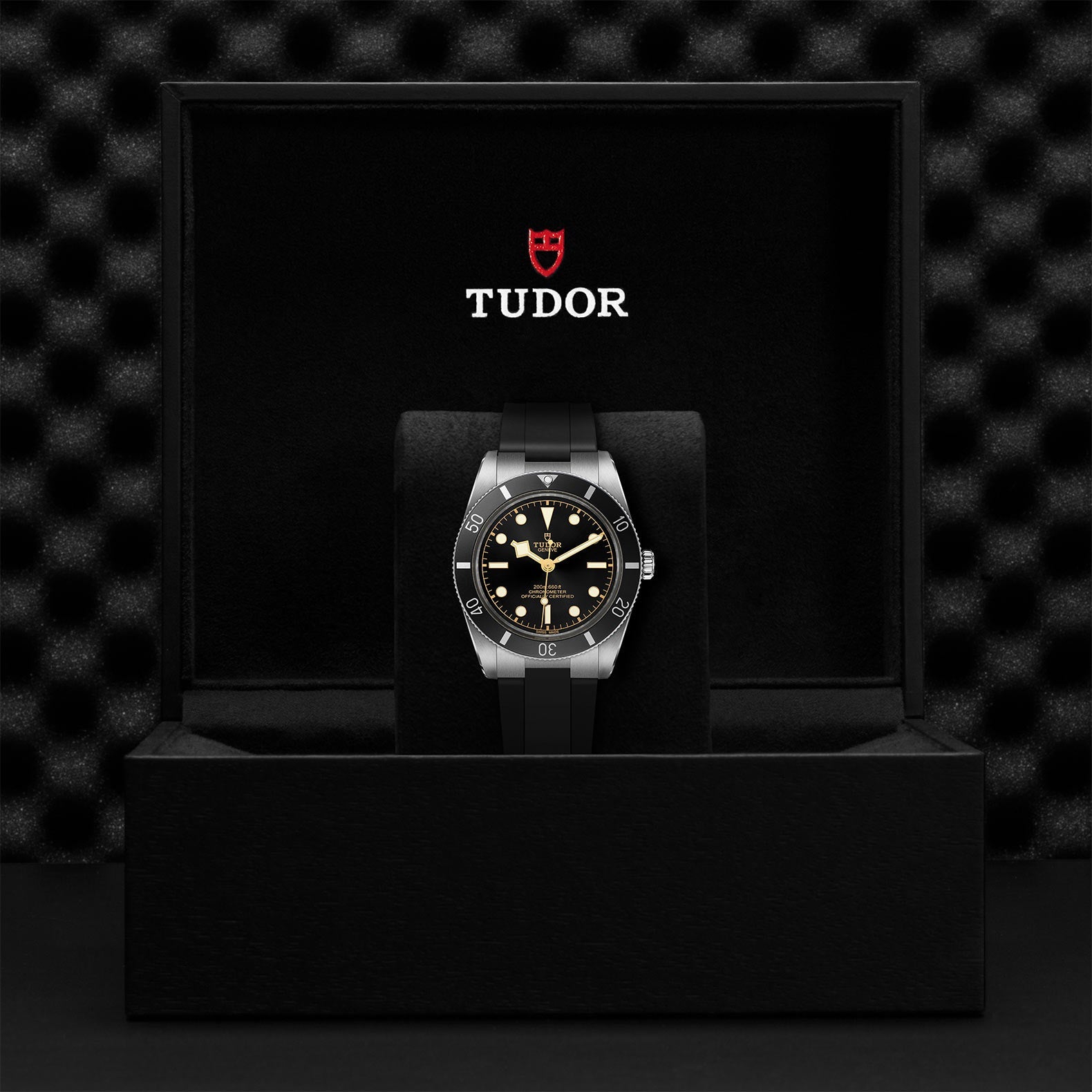 Black Bay 54 - M79000N-0002