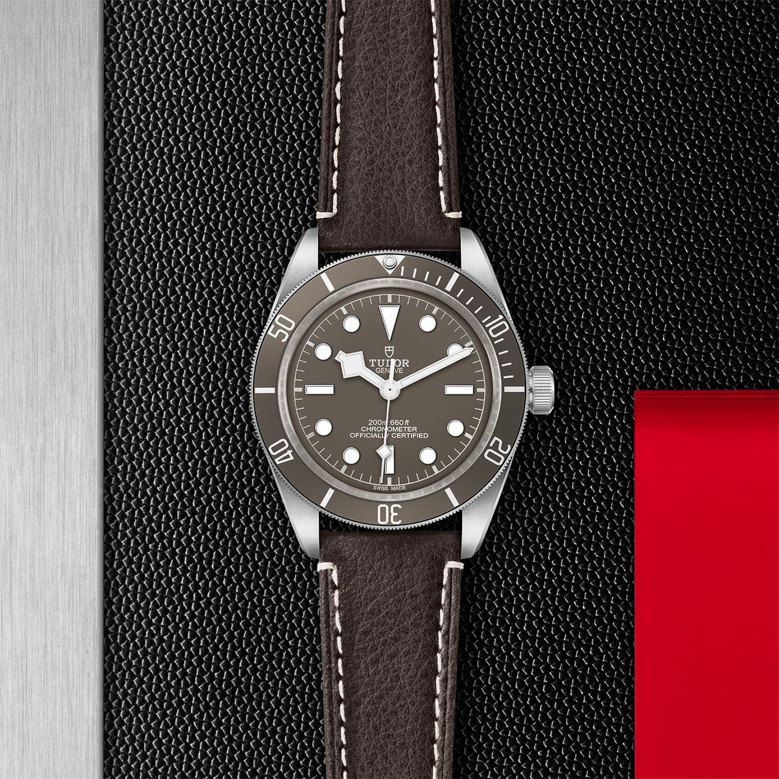 Black Bay 58 925 - M79010SG-0001