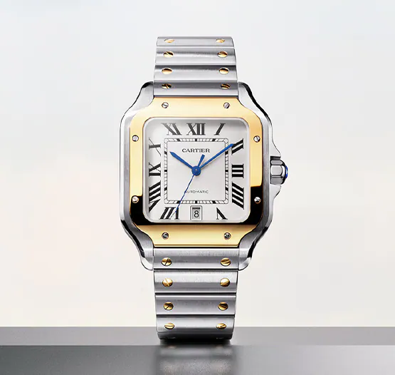 Cartier About Image