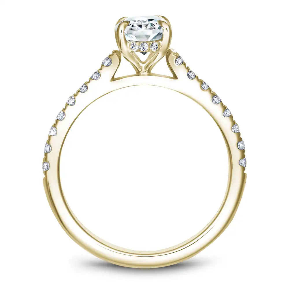 Noam Carver Semi Mount Engagement Ring