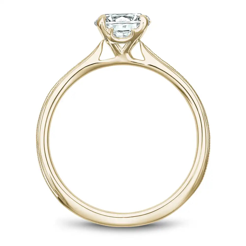 Noam Carver Semi Mount Engagement Ring