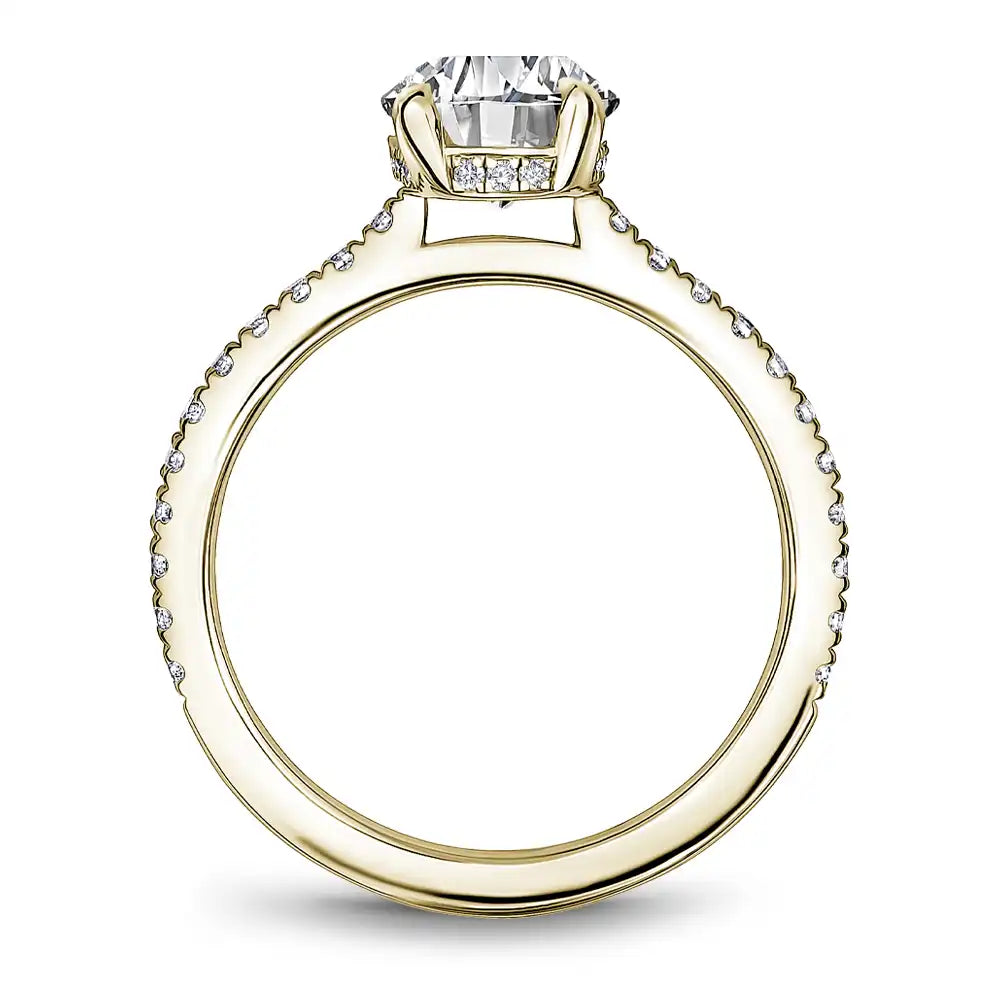 Noam Carver Semi Mount Engagement Ring