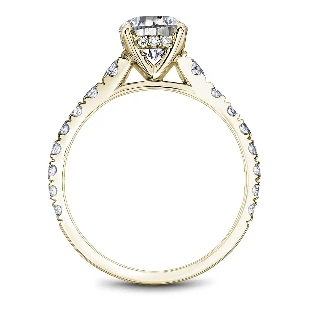 Noam Carver Semi Mount Engagement Ring