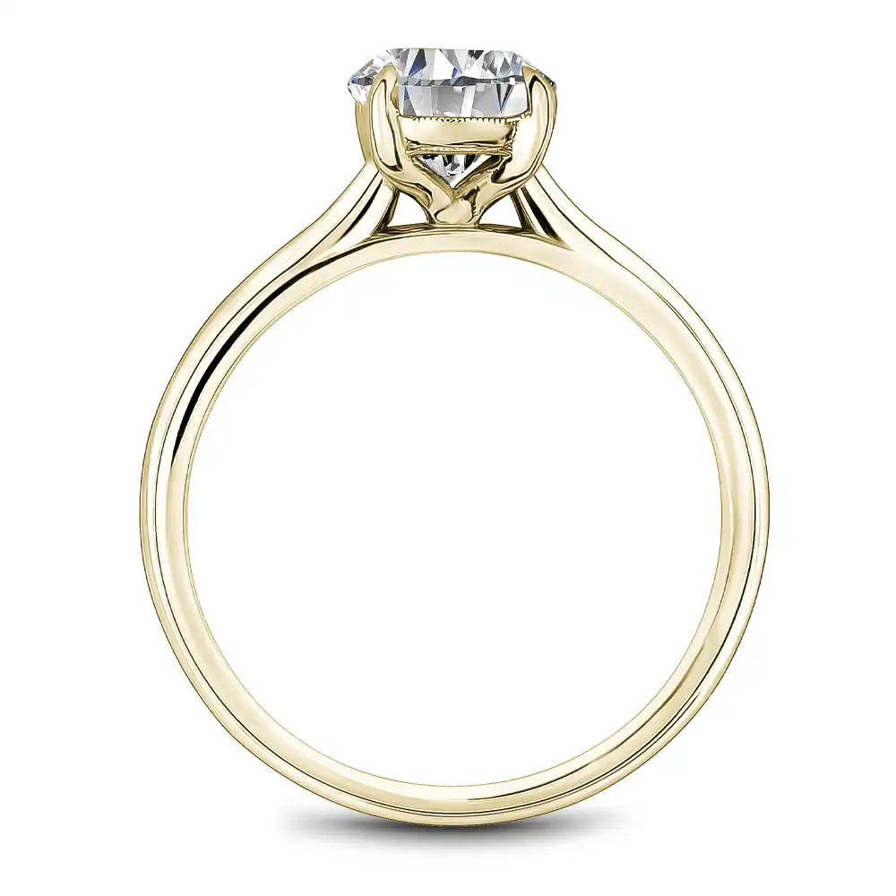 Noam Carver Semi Mount Engagement Ring