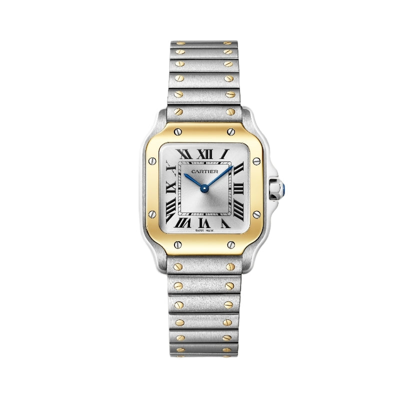 Cartier Santos de Cartier Watch W2SA0033