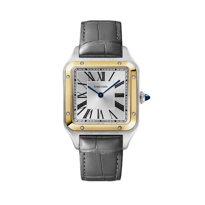 Cartier Santos-Dumont Watch W2SA0046