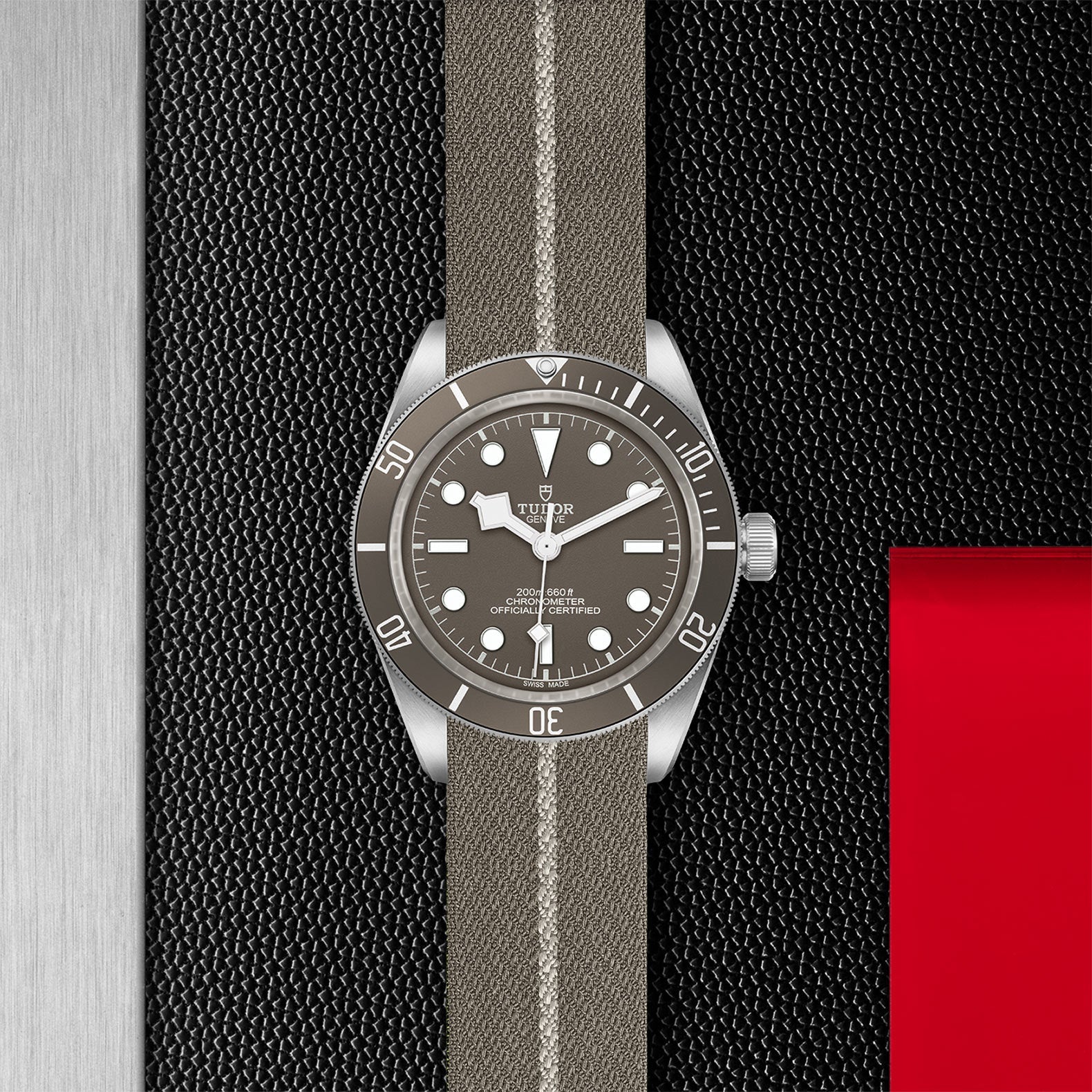 Black Bay 58 925 - M79010SG-0002