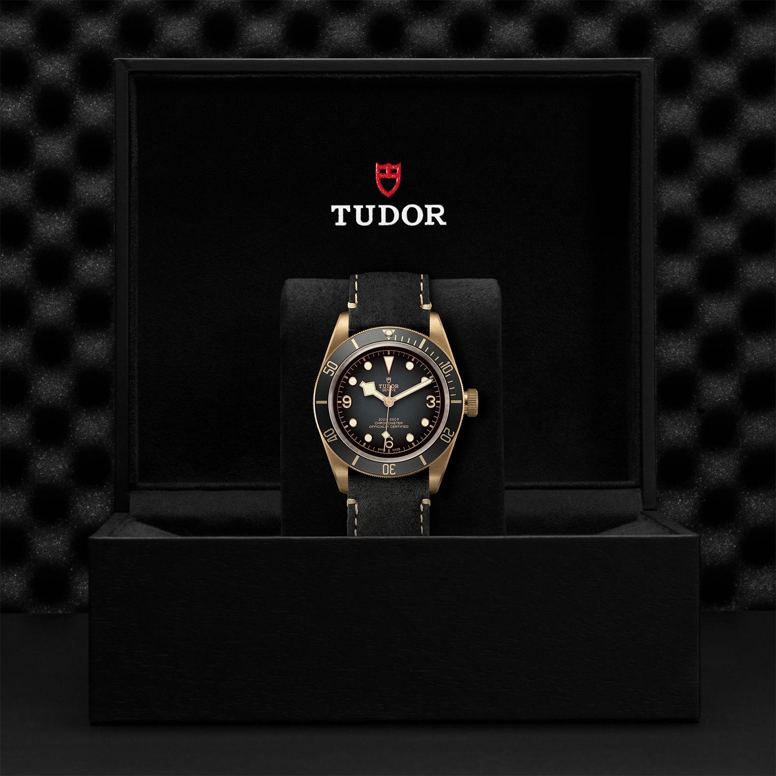 Black Bay Bronze - M79250BA-0001