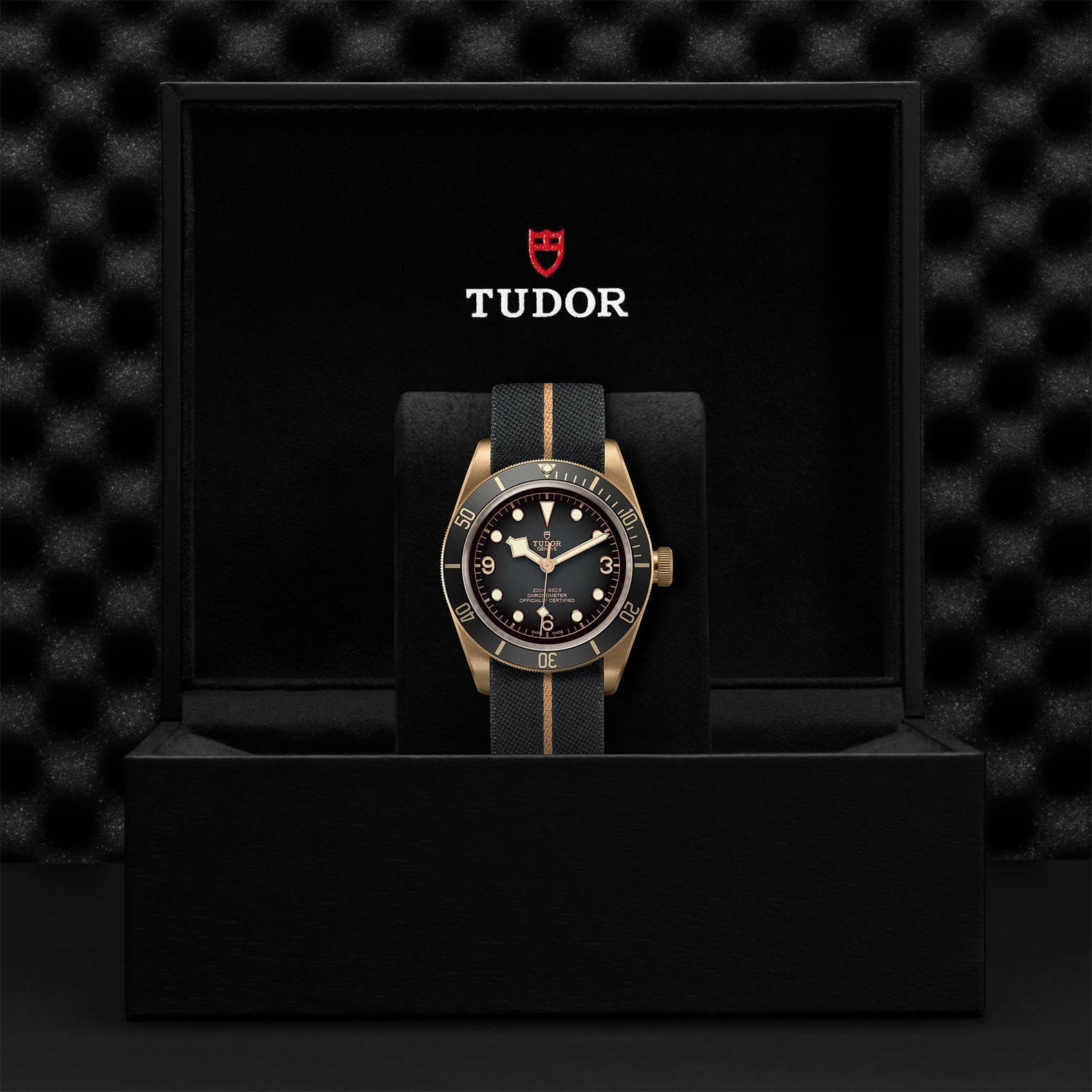 Black Bay Bronze - M79250BA-0002