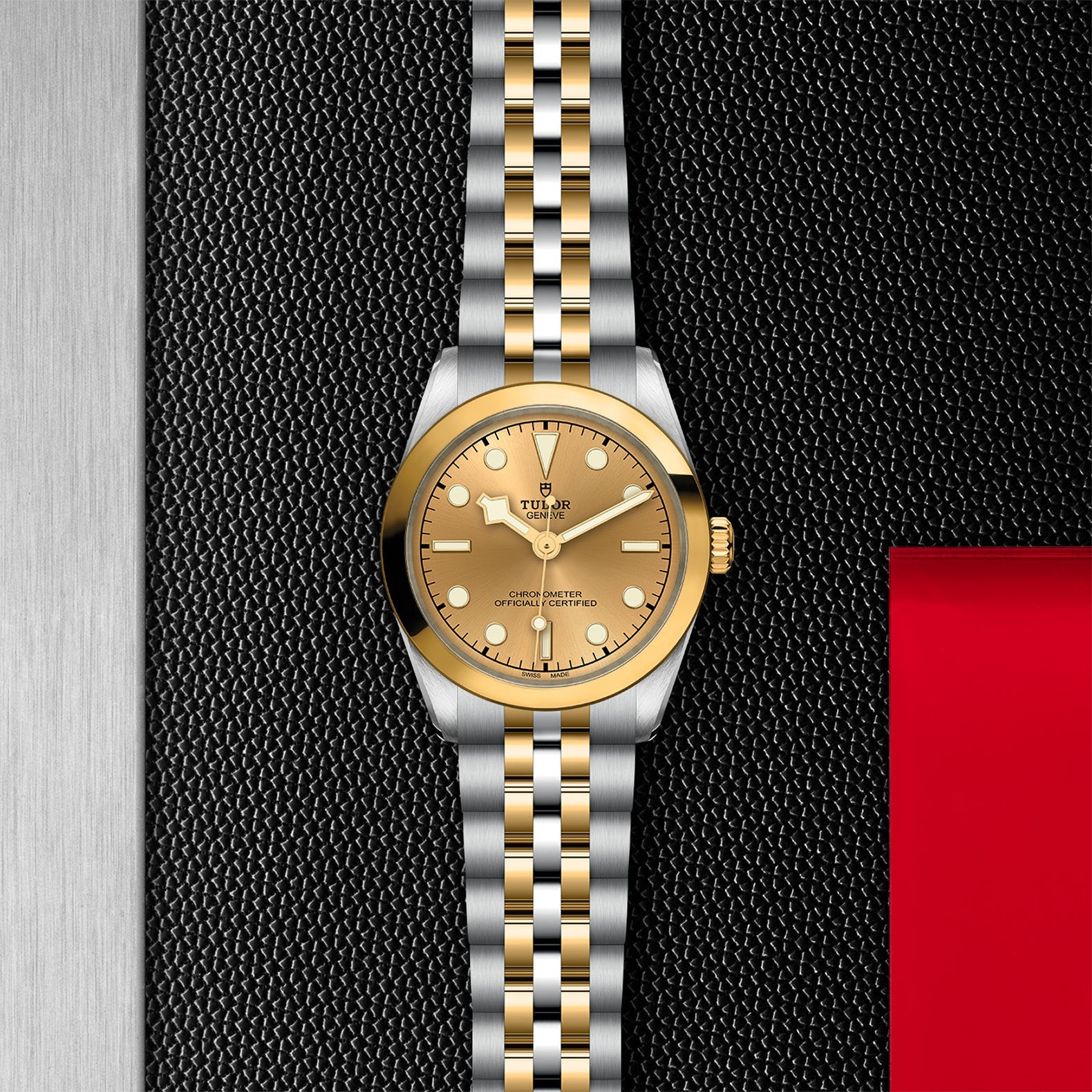 Black Bay 31 S&G - M79603-0005