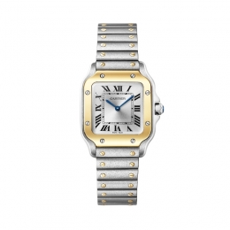 Cartier Santos de Cartier Watch W2SA0033