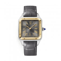 Cartier Santos-Dumont Watch W2SA0036