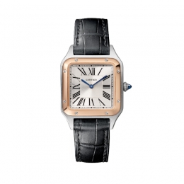 Cartier Santos-Dumont Watch W2SA0038