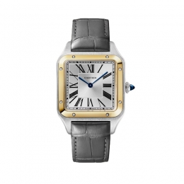 Cartier Cartier Santos-Dumont Watch W2SA0046 Watch