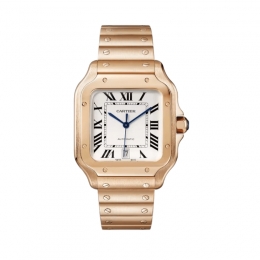 Cartier Santos de Cartier Watch WGSA0018
