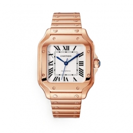 Cartier Santos de Cartier Watch WGSA0031