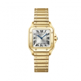 Cartier Santos de Cartier Watch WGSA0107