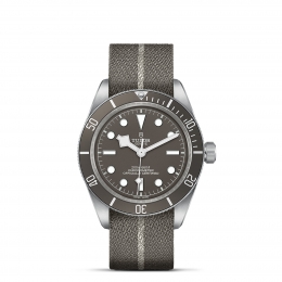 Tudor Black Bay Fifty-Eight 925 39mm Silver