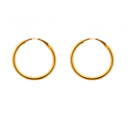 Classic Gold Hoop Earrings