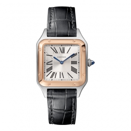 Cartier Santos Dumont Watch W2SA0012