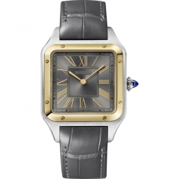 Cartier Santos Dumont Cartier Watch W2SA0028
