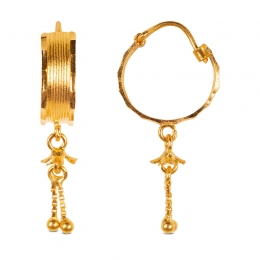 Elegant Hanging Earrings in Gold