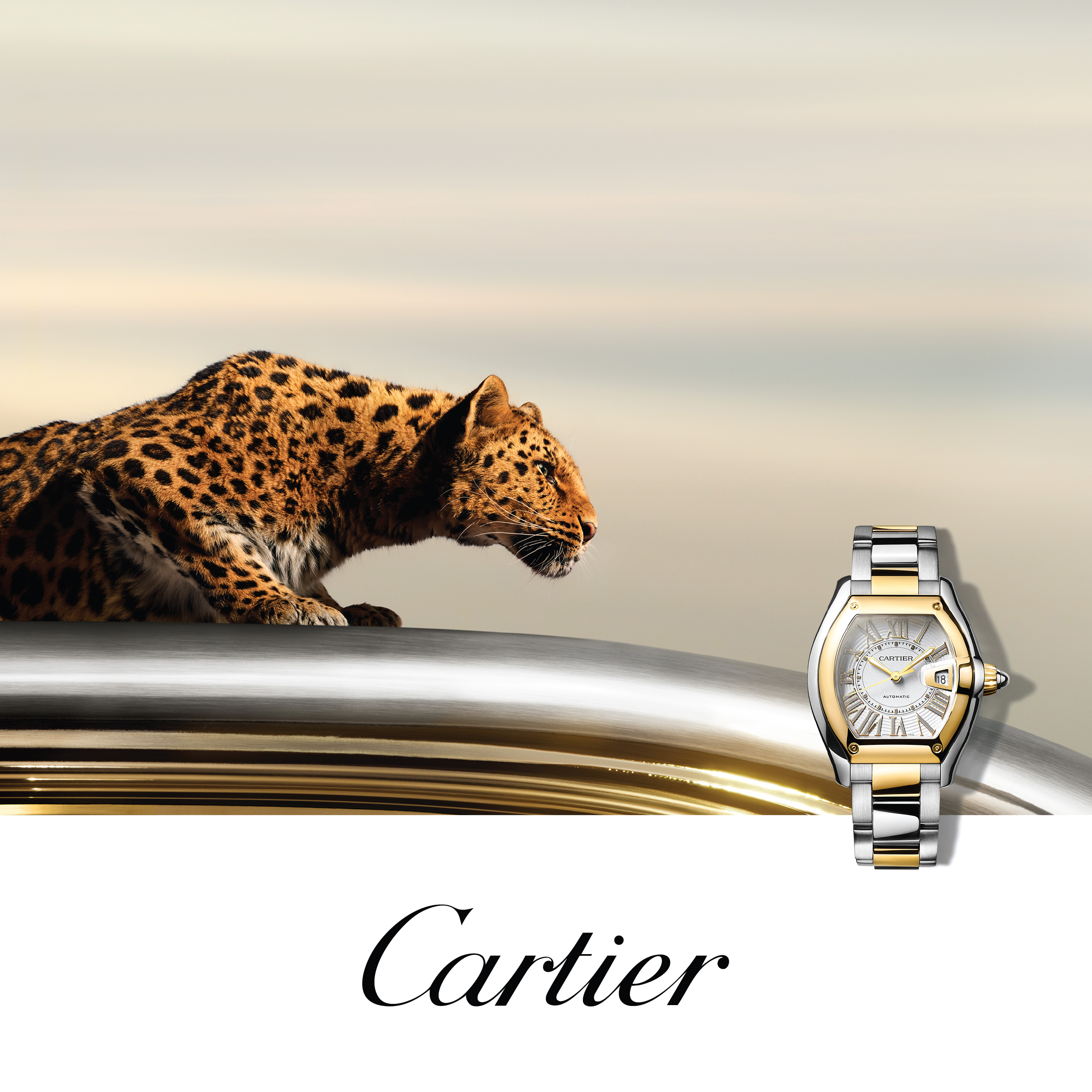 Cartier Icons Watch Models at Bhindi Jewelers
