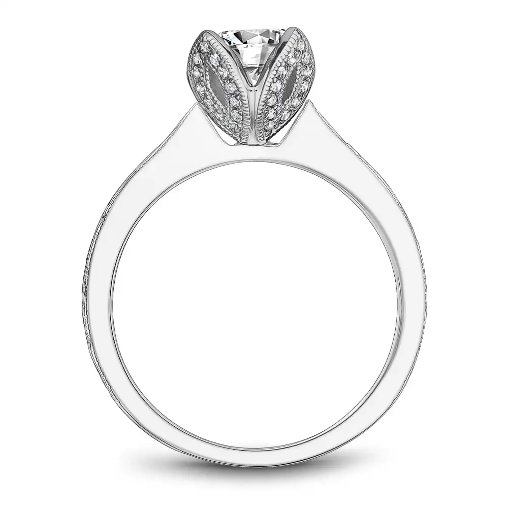 Noam Carver Semi Mount Engagement Ring