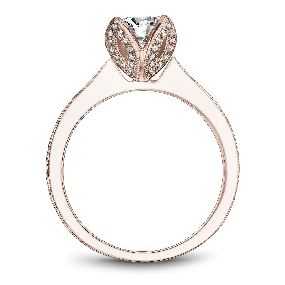 Noam Carver Semi Mount Engagement Ring