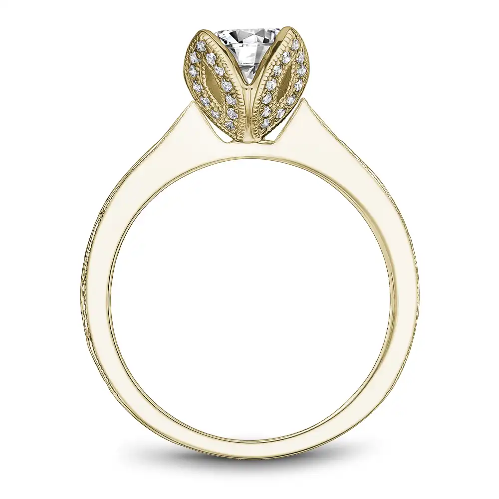 Noam Carver Semi Mount Engagement Ring