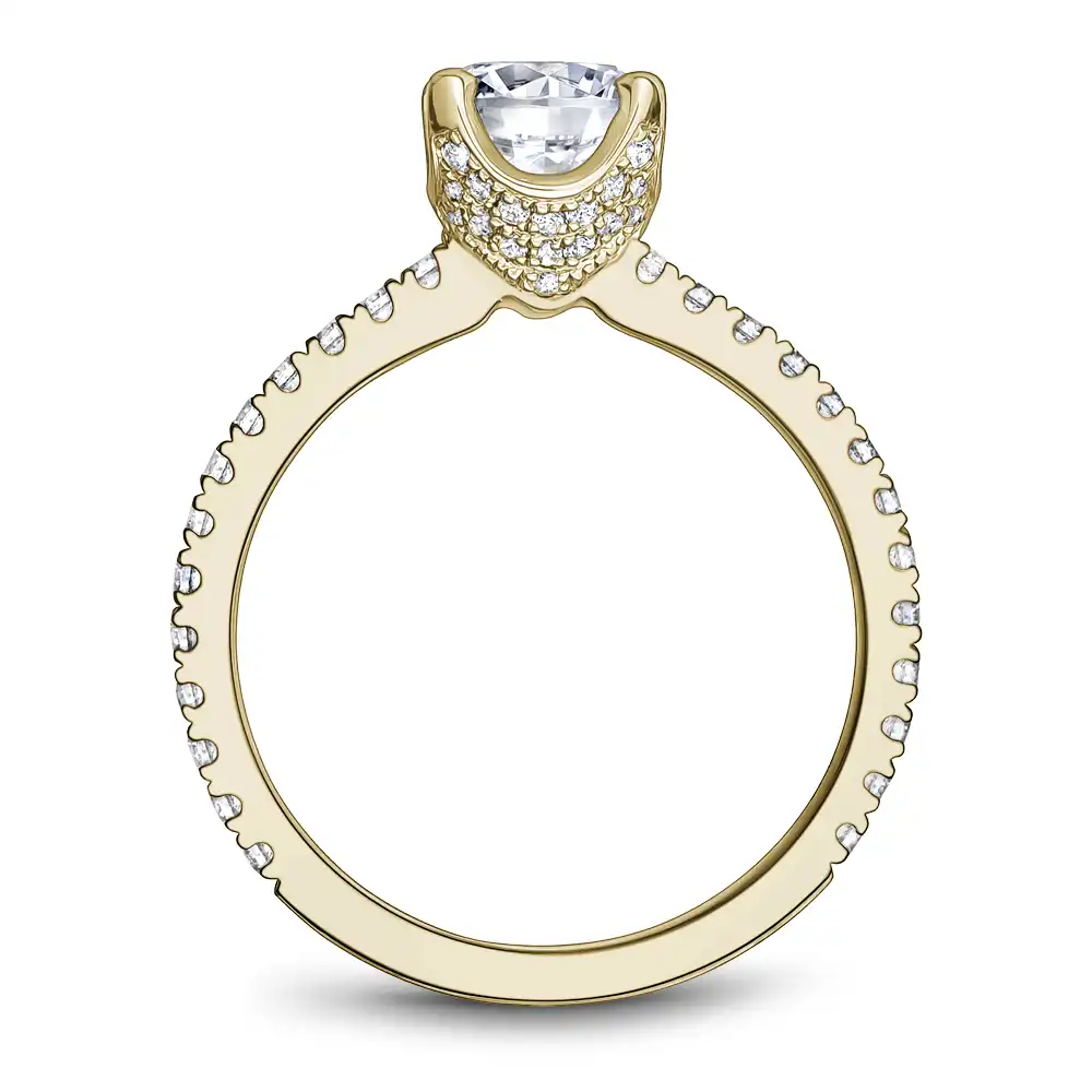 Noam Carver Semi Mount Engagement Ring