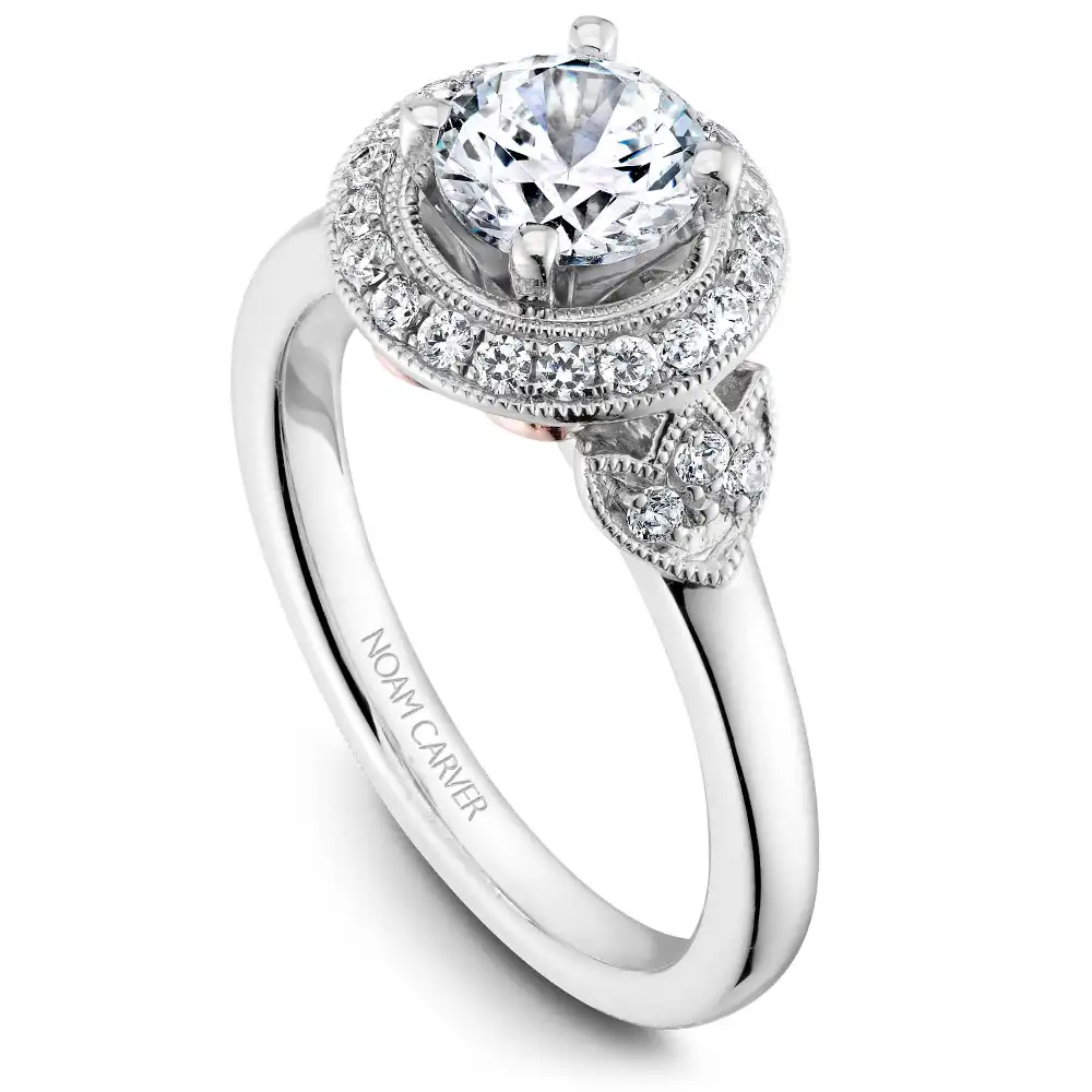 Noam Carver Semi Mount Engagement Ring