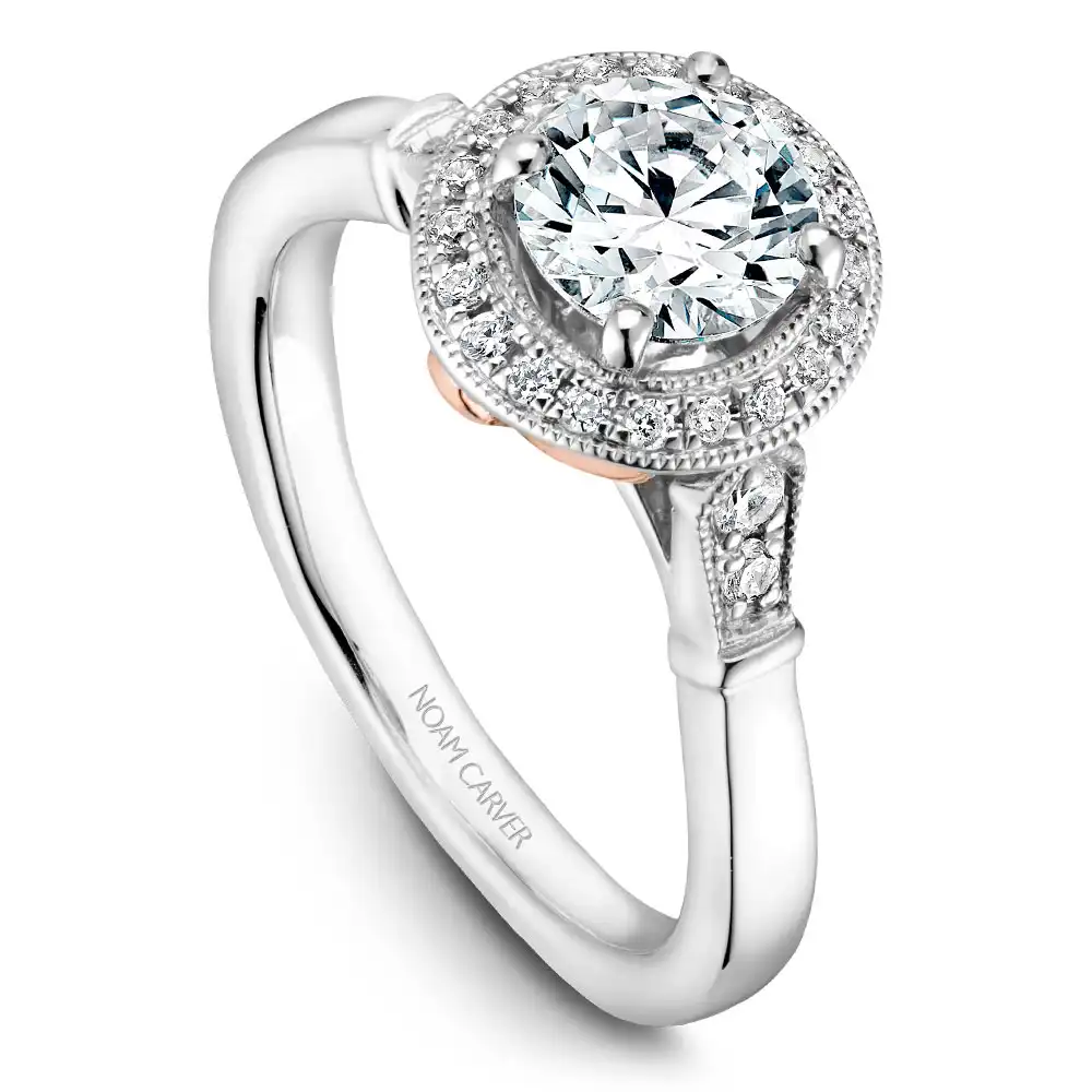 Noam Carver Semi Mount Engagement Ring