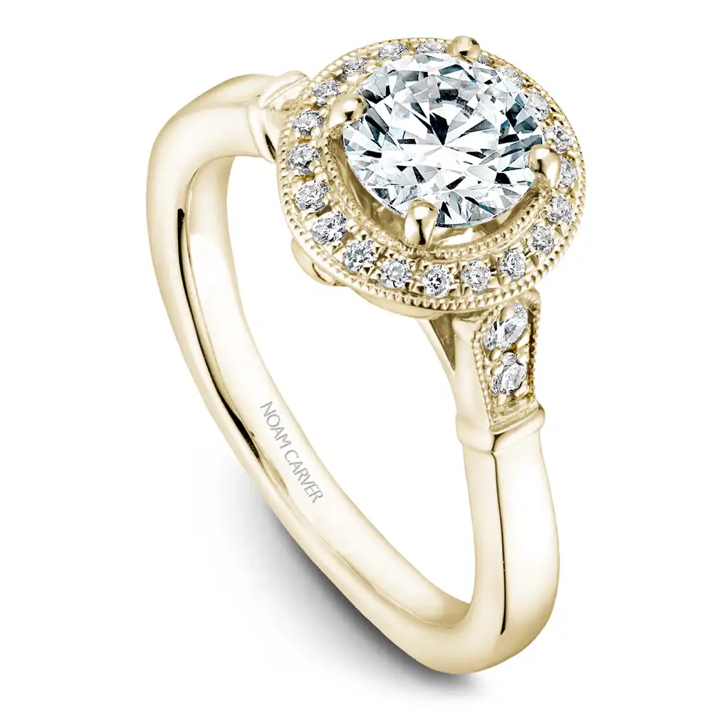 Noam Carver Semi Mount Engagement Ring
