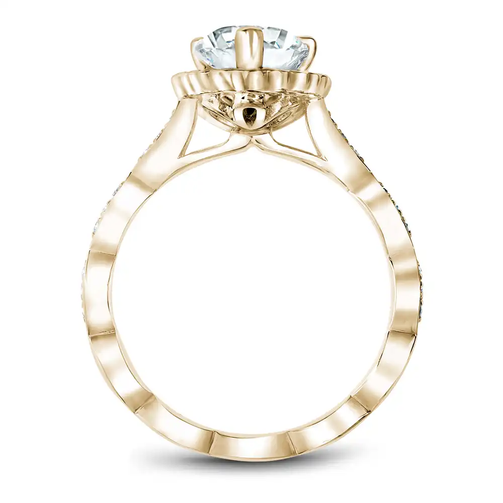 Noam Carver Semi Mount Engagement Ring