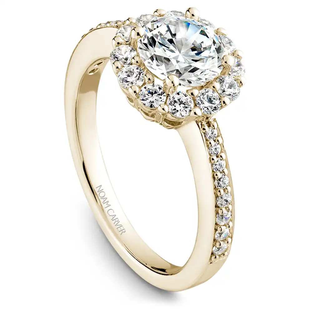 Noam Carver Semi Mount Engagement Ring