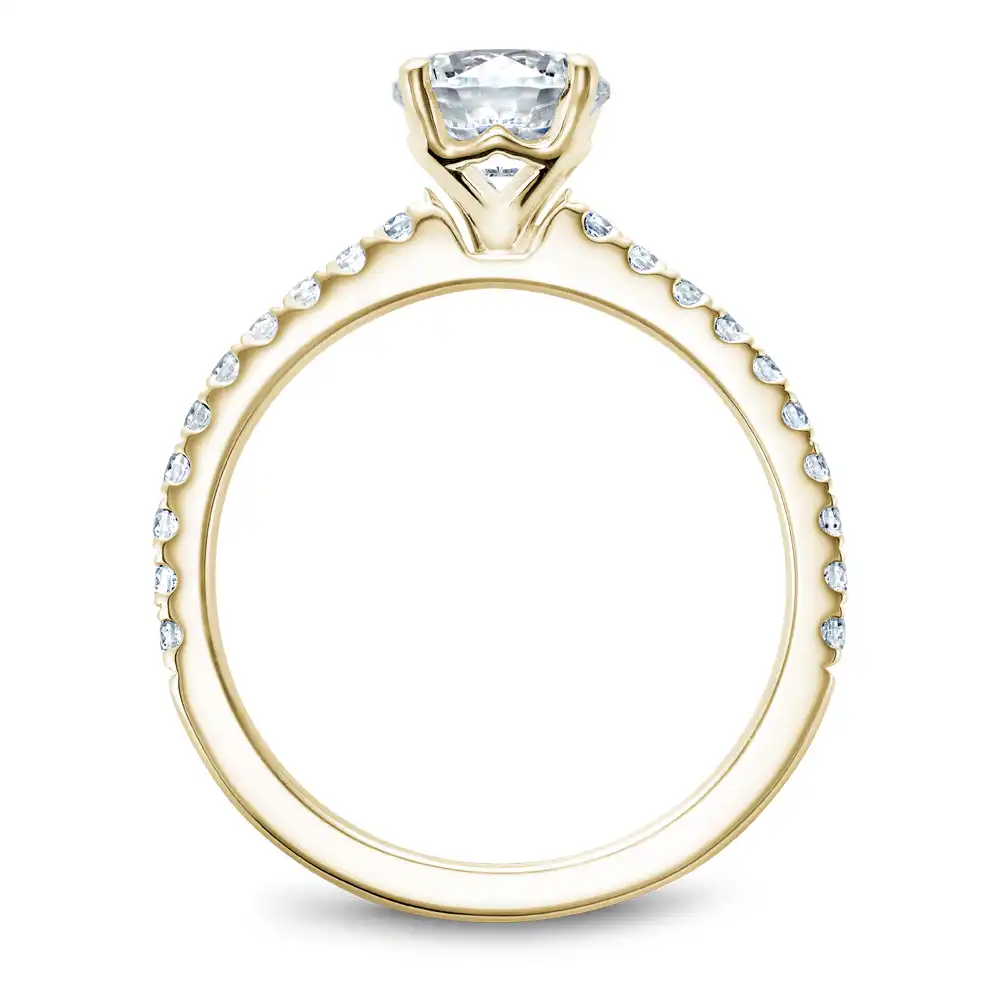 Noam Carver Semi Mount Engagement Ring