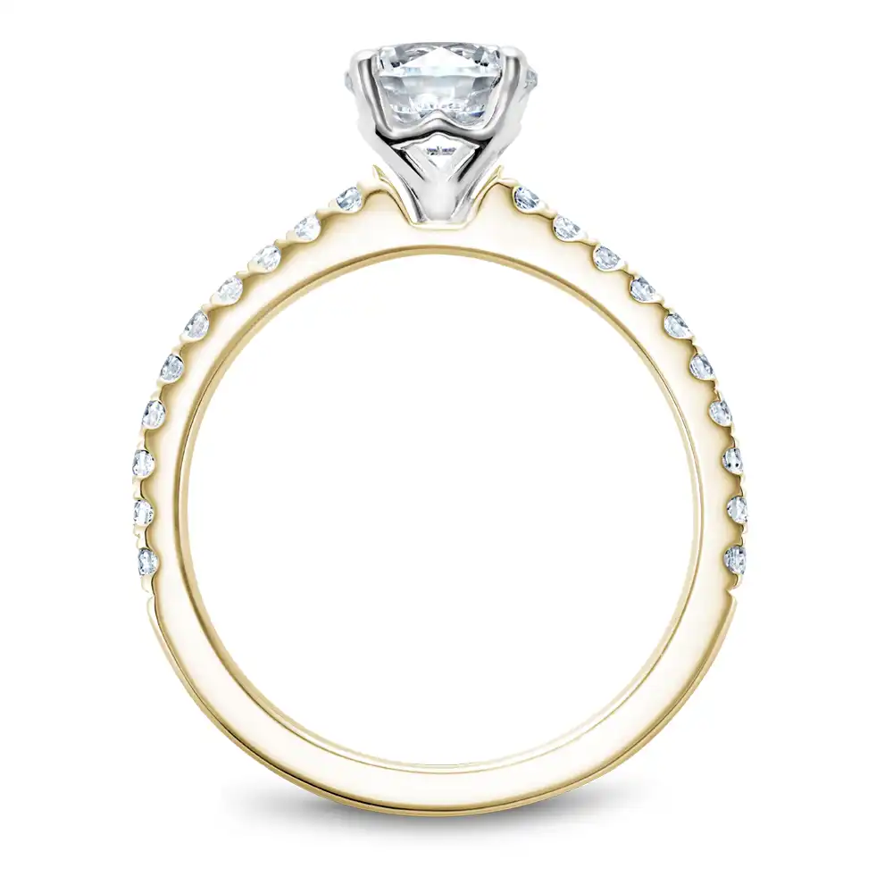 Noam Carver Semi Mount Engagement Ring