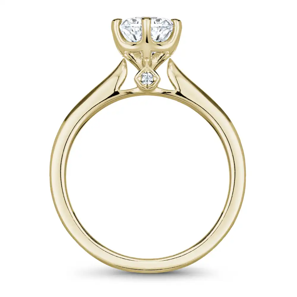 Noam Carver Semi Mount Engagement Ring
