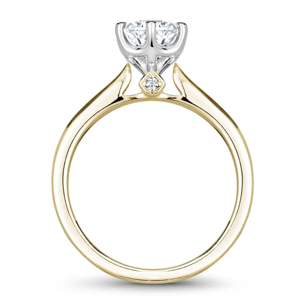 Noam Carver Semi Mount Engagement Ring