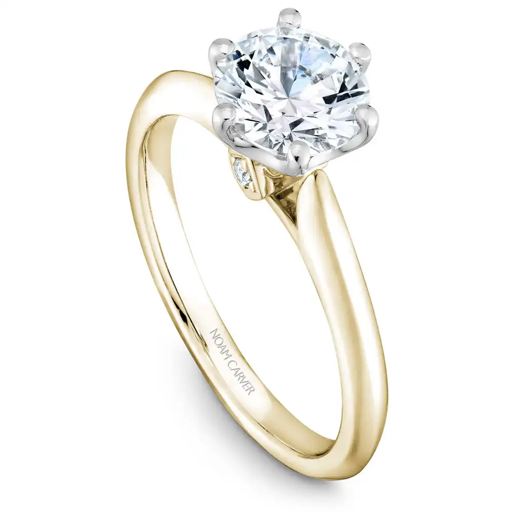 Noam Carver Semi Mount Engagement Ring