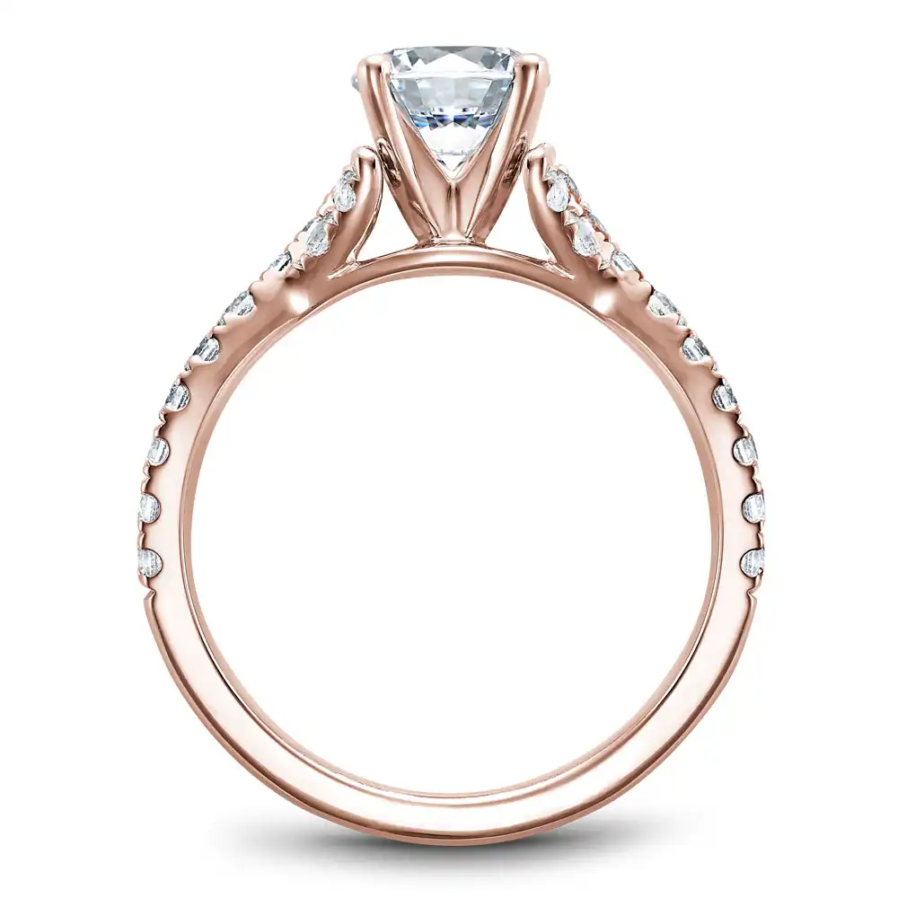 Noam Carver Semi Mount Engagement Ring