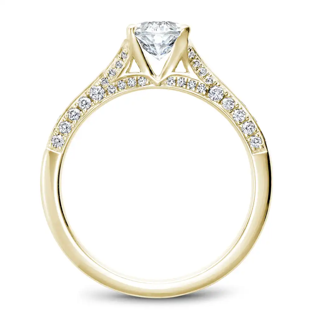 Noam Carver Semi Mount Engagement Ring